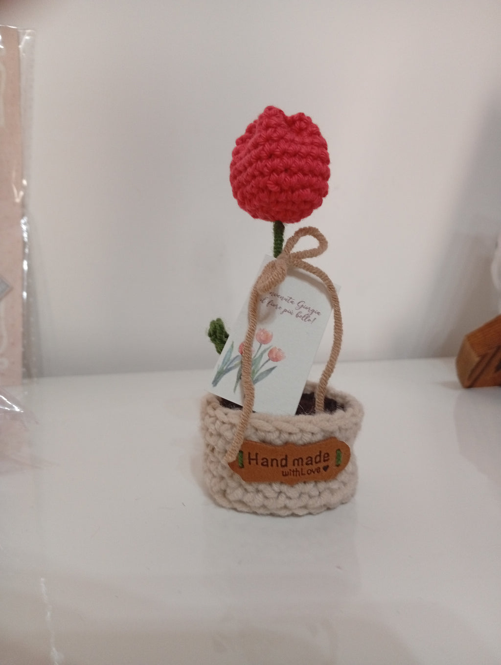 Tulipano rosso