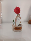 Tulipano rosso