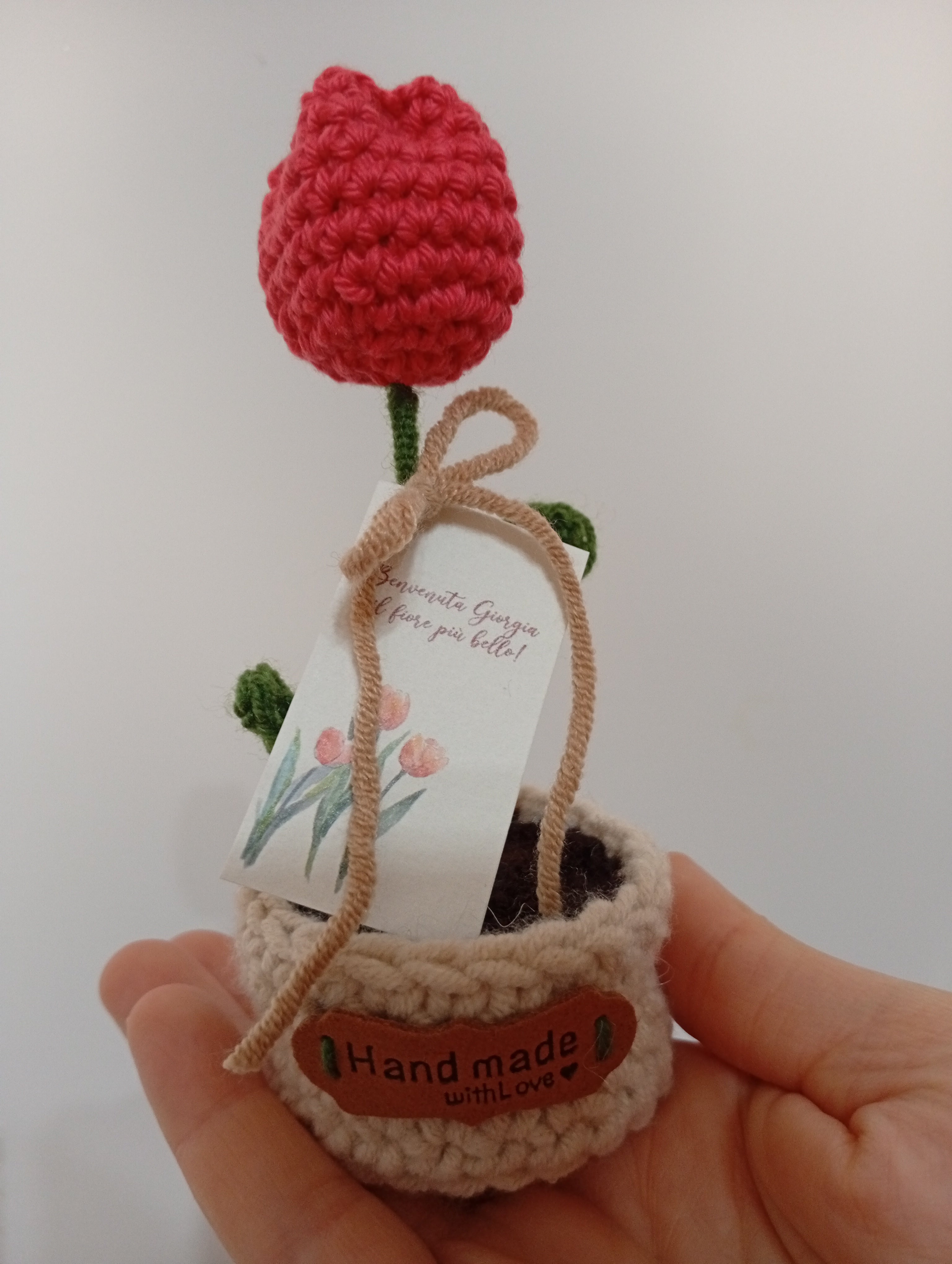 Tulipano rosso